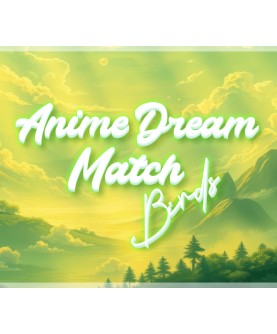 Anime Dream Match: Birds Steam Key GLOBAL